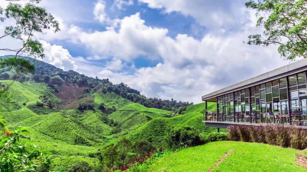 Hills Aranda Nova Hotel คาเมรอนไฮแลนด์ ภายนอก รูปภาพ